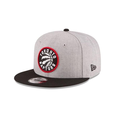 Grey Toronto Raptors Hat - New Era NBA 2Tone 9FIFTY Snapback Caps USA9763842